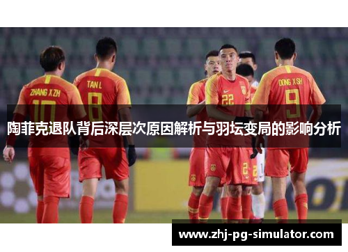 陶菲克退队背后深层次原因解析与羽坛变局的影响分析