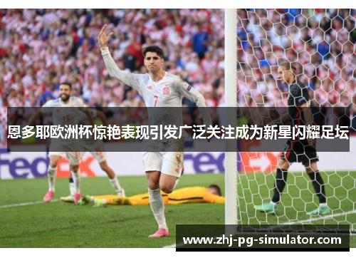 恩多耶欧洲杯惊艳表现引发广泛关注成为新星闪耀足坛